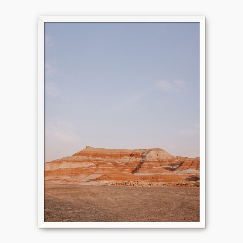 Desert Views - Sage and Rose Prints