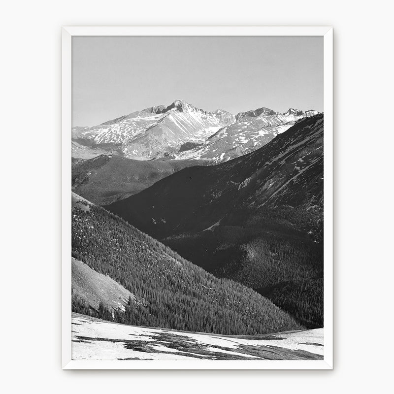 Historic Ansel Adams Black And White Photo - Sage and Rose Prints