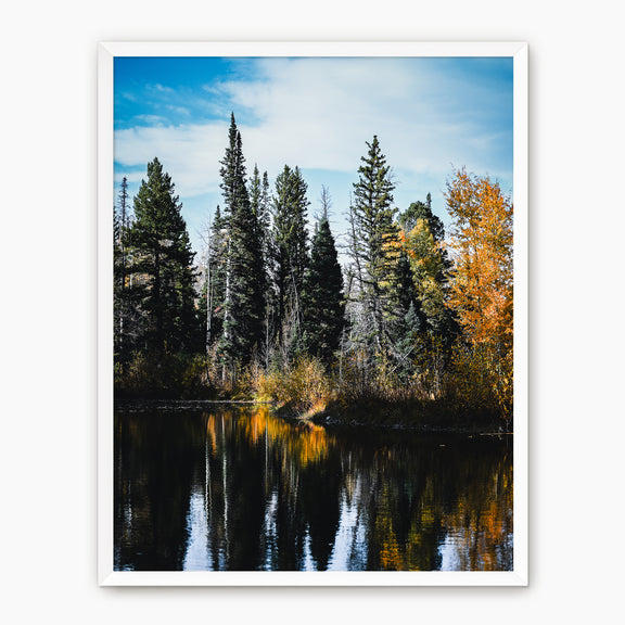 Serene Fall Photography - Sage and Rose Prints