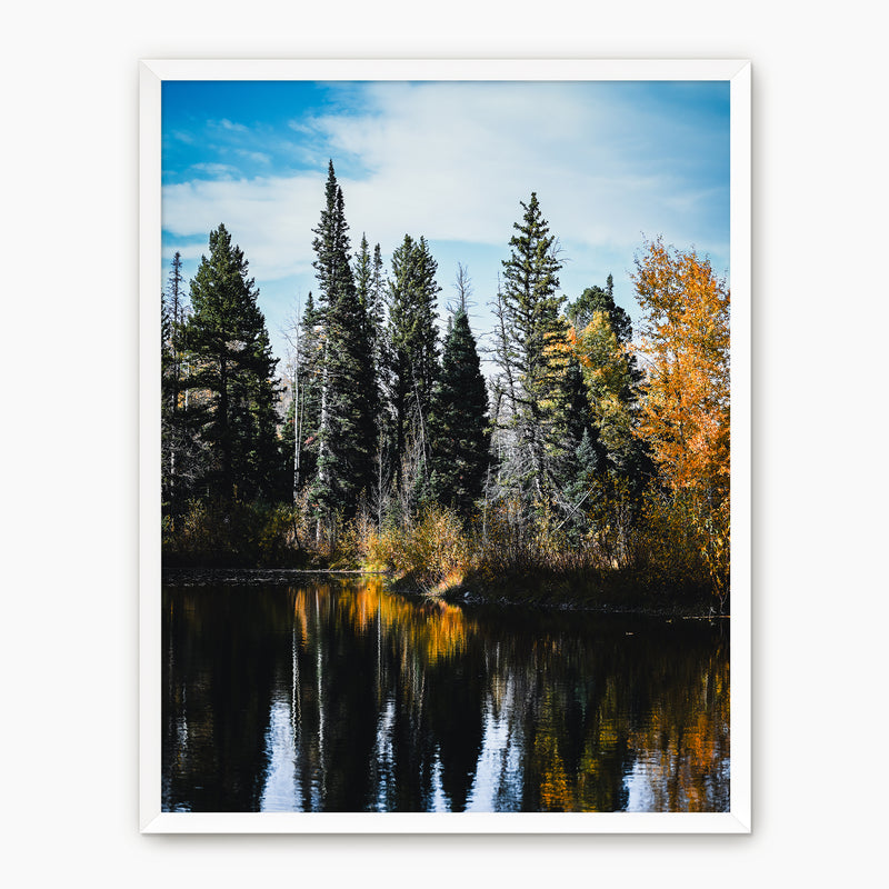 Serene Fall Photography - Sage and Rose Prints