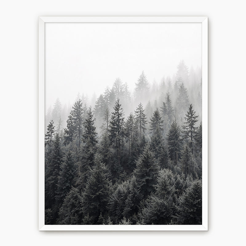 Misty Forest Ridge - Sage and Rose Prints