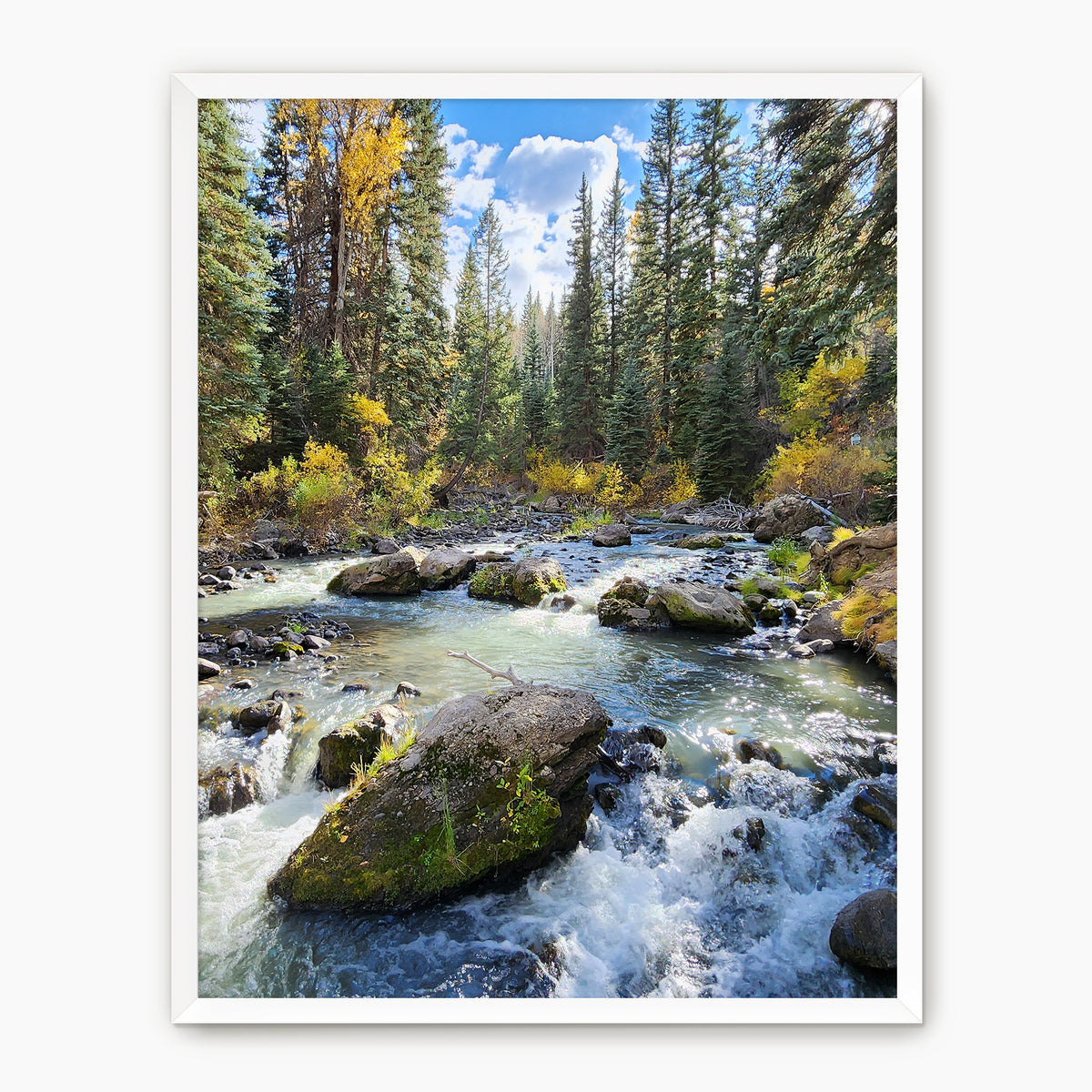 Creek in Fall Photography - Sage and Rose Prints