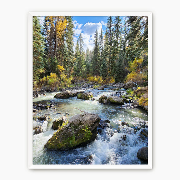 Creek in Fall Photography - Sage and Rose Prints
