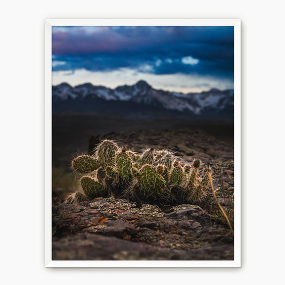 Desert Meets Mountain Photography - Sage and Rose Prints