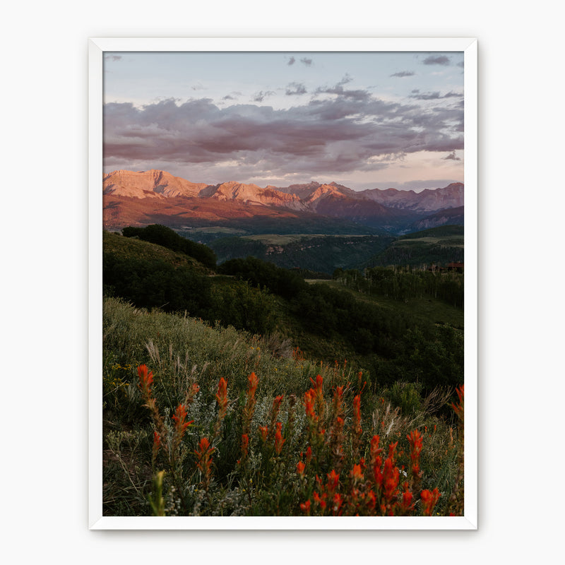 Telluride Mountain Sunset - Sage and Rose Prints