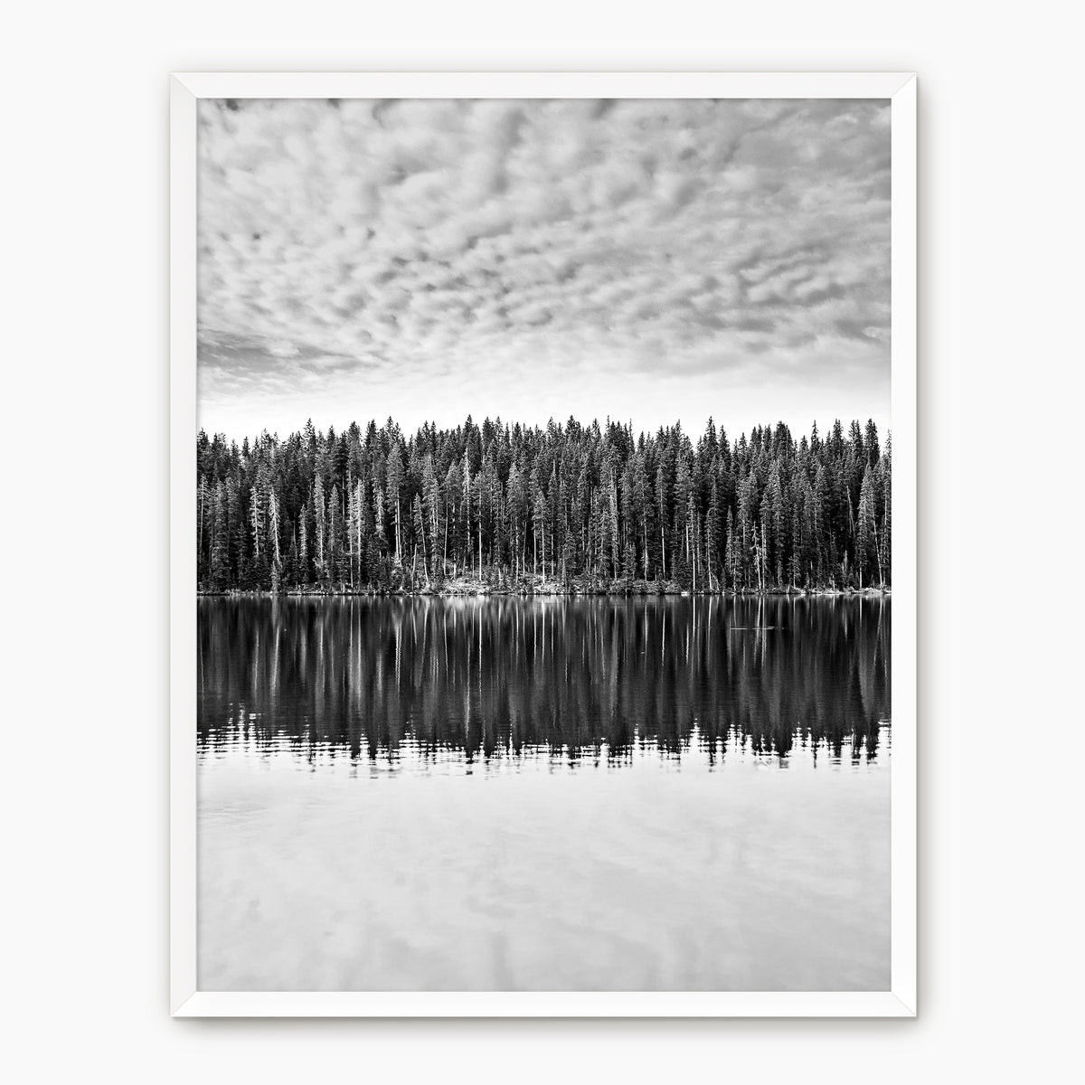 Black and White Reflections on Lake Photography - Sage and Rose Prints