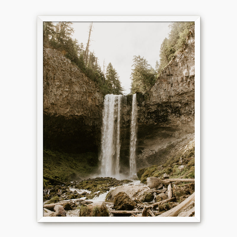 Falling - Sage and Rose Prints