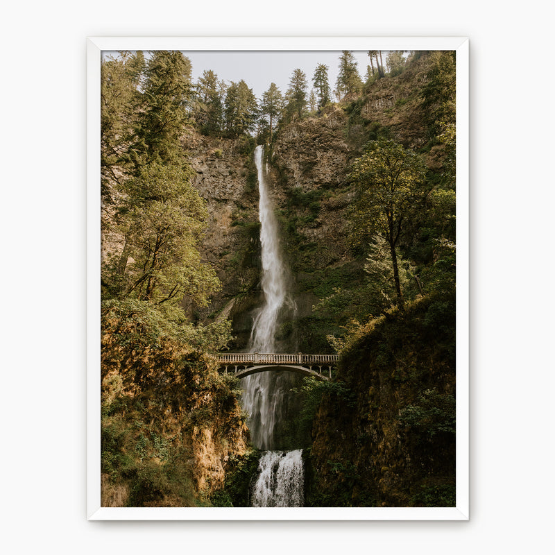 Multnomah Falls - Sage and Rose Prints
