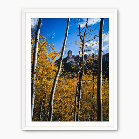 Fall Mountain Photograph - Sage and Rose Prints