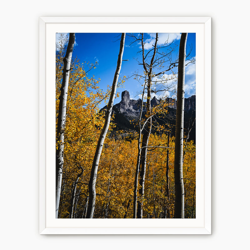 Fall Mountain Photograph - Sage and Rose Prints