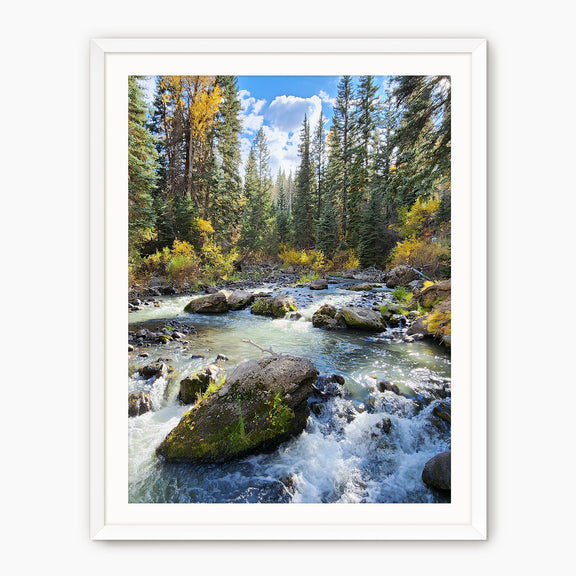 Creek in Fall Photography - Sage and Rose Prints