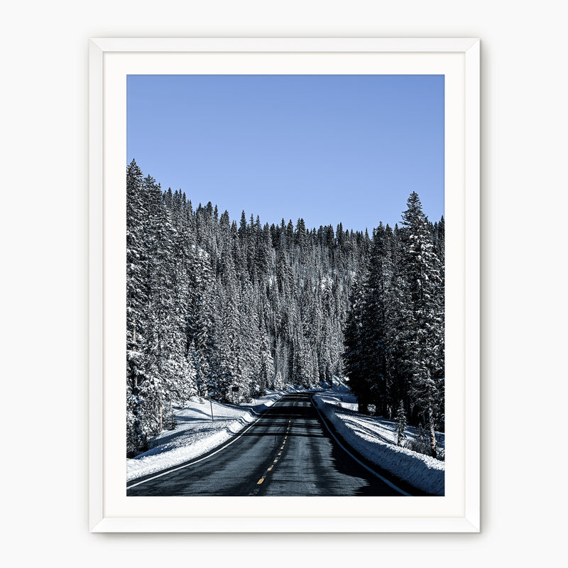 Winter Landscape Photography - Sage and Rose Prints