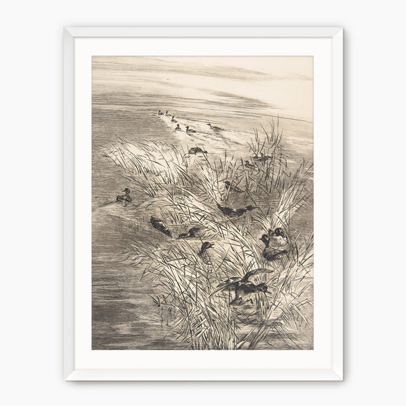Vintage Ducks in the Grass Sketch C - Sage and Rose Prints
