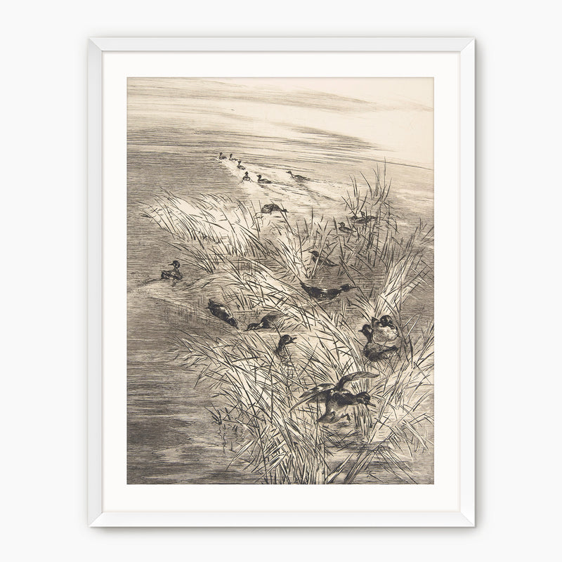 Vintage Ducks in the Grass Sketch C - Sage and Rose Prints