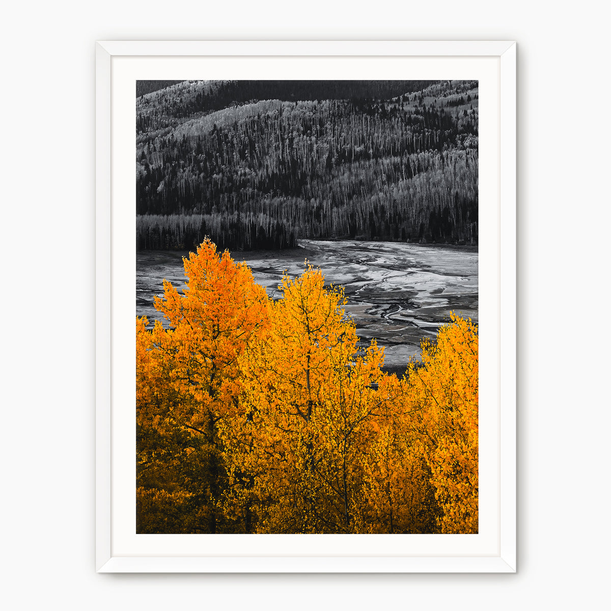 Fall Mountain Colors - Sage and Rose Prints