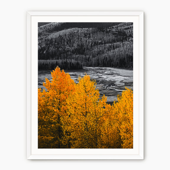 Fall Mountain Colors - Sage and Rose Prints