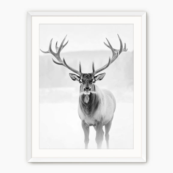 Deer in Winter Black and White Photo - Sage and Rose Prints