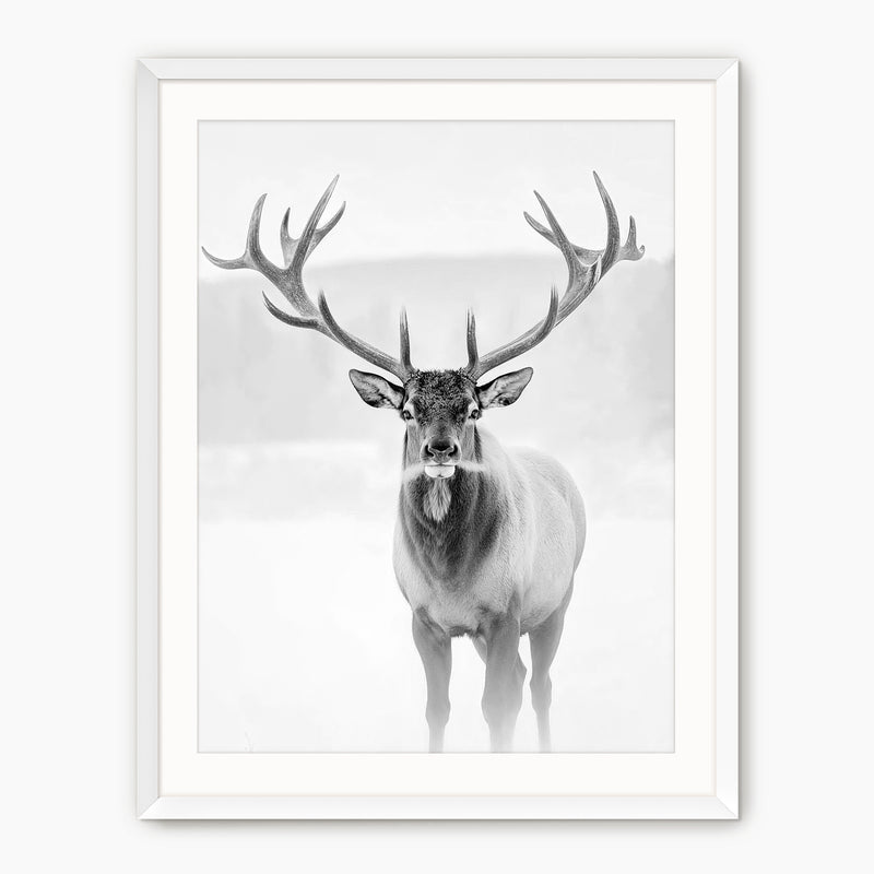 Deer in Winter Black and White Photo - Sage and Rose Prints