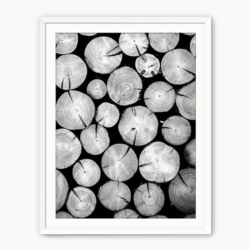 Black and White Cut Logs Photo - Sage and Rose Prints