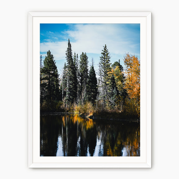 Serene Fall Photography - Sage and Rose Prints