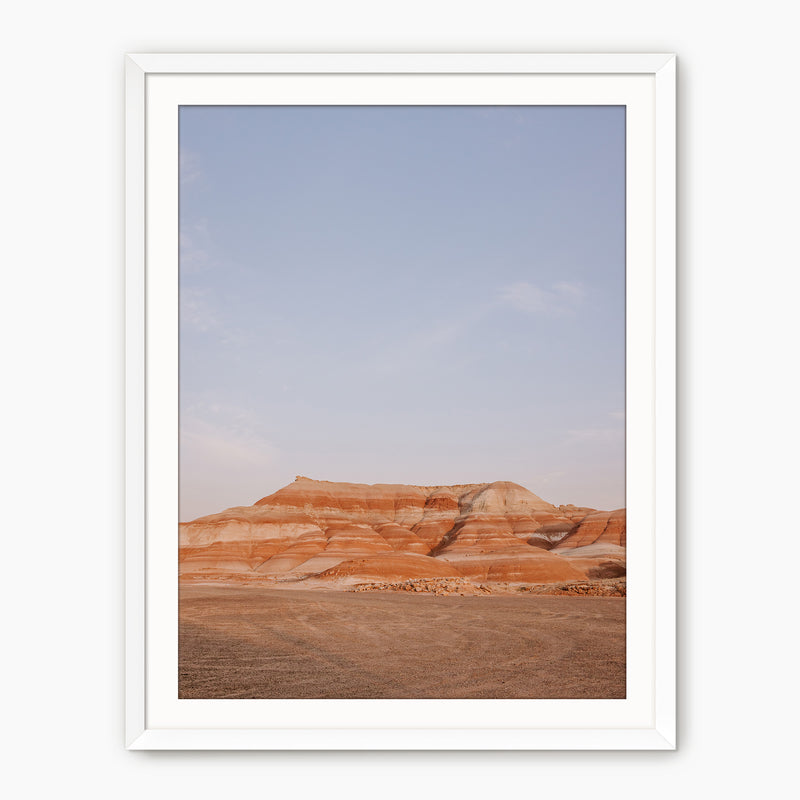 Desert Views - Sage and Rose Prints