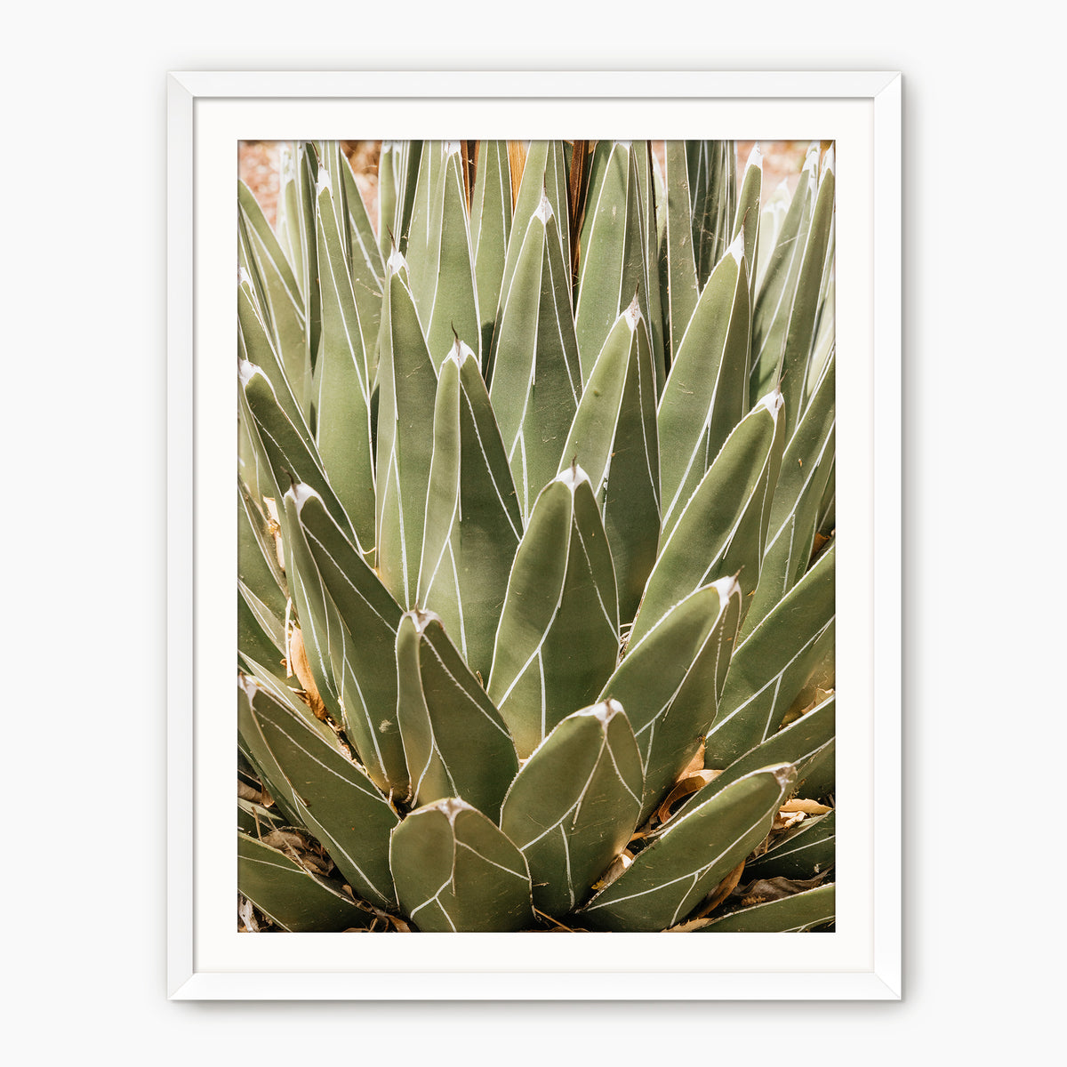 Nature's Armor - Sage and Rose Prints