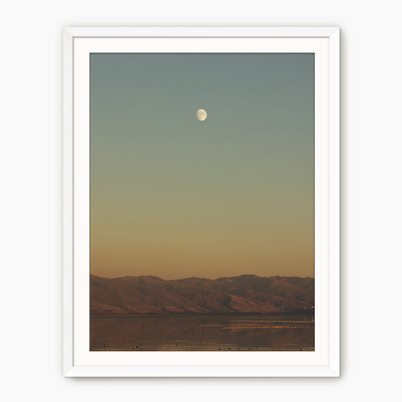 End of the Day - Sage and Rose Prints