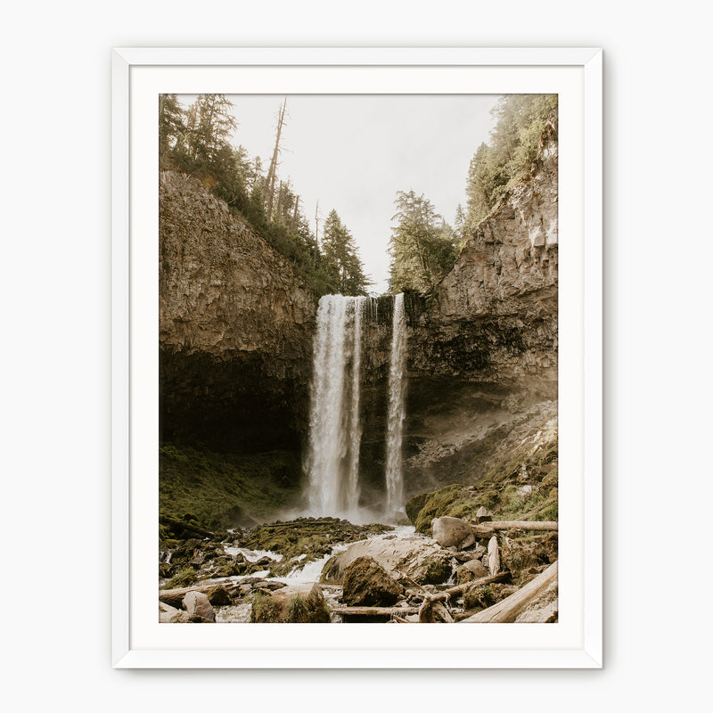 Falling - Sage and Rose Prints