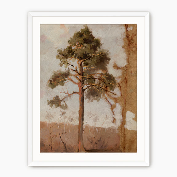 Tree in the Evening Sunlight - Sage and Rose Prints