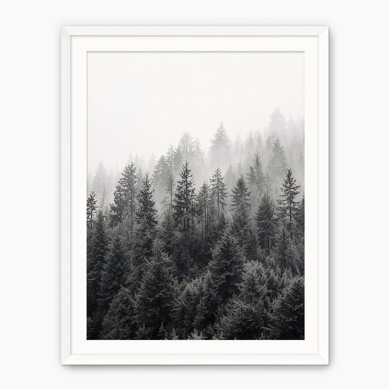 Misty Forest Ridge - Sage and Rose Prints