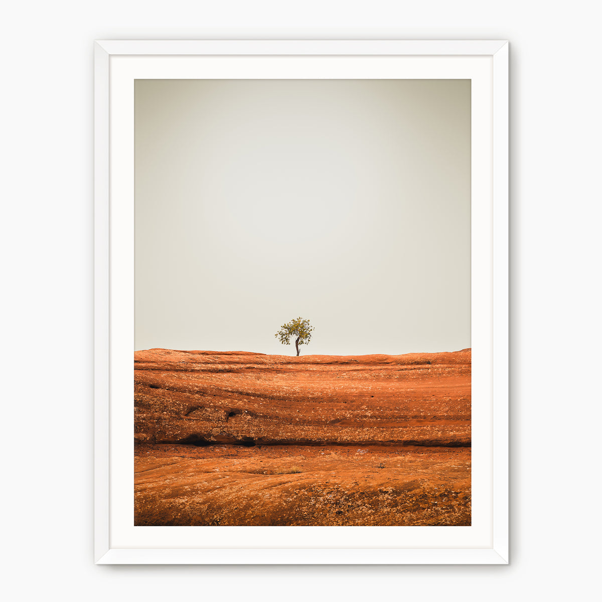 Minimal Tree Photography - Sage and Rose Prints