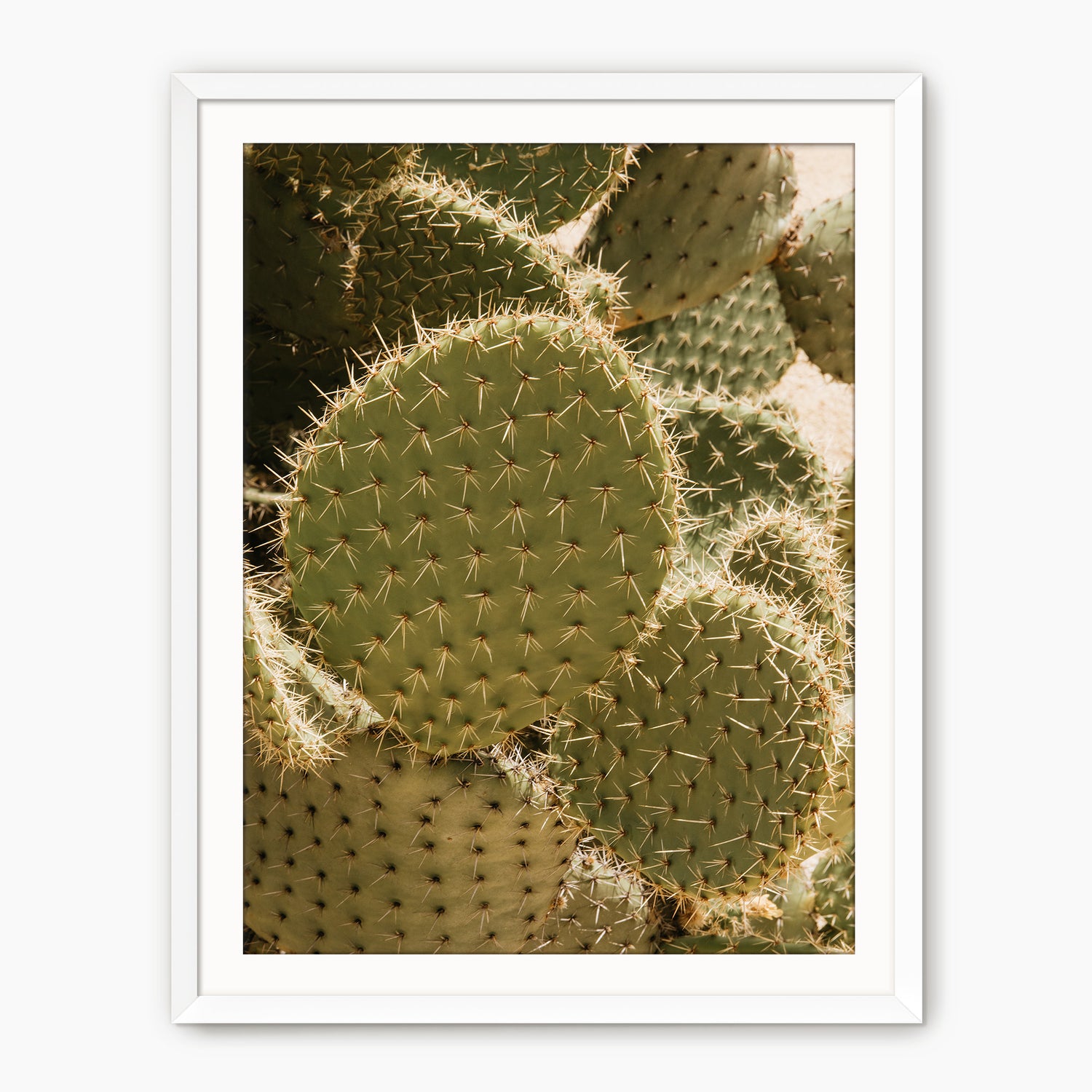 Spiked In the Sunlight - Sage and Rose Prints