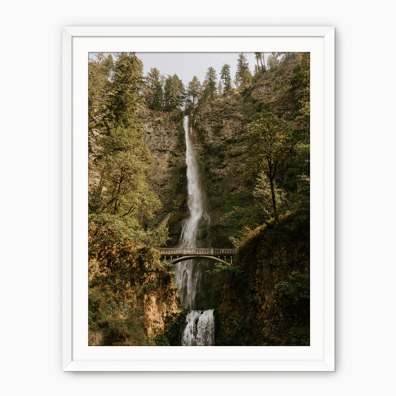 Multnomah Falls - Sage and Rose Prints