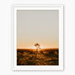 Desert Rising - Sage and Rose Prints