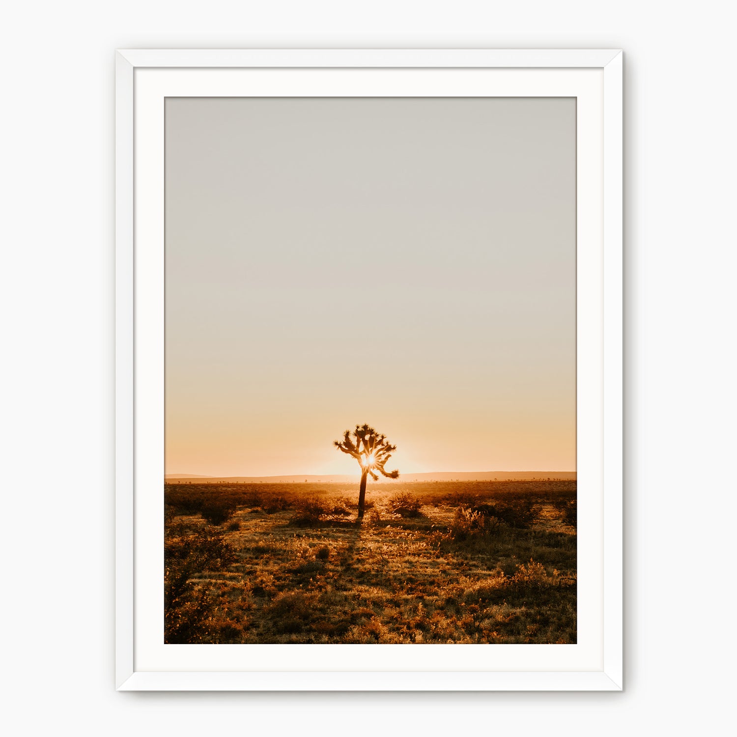 Desert Rising - Sage and Rose Prints