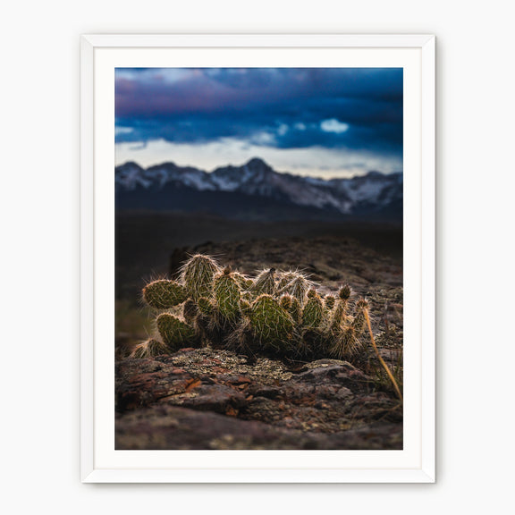 Desert Meets Mountain Photography - Sage and Rose Prints