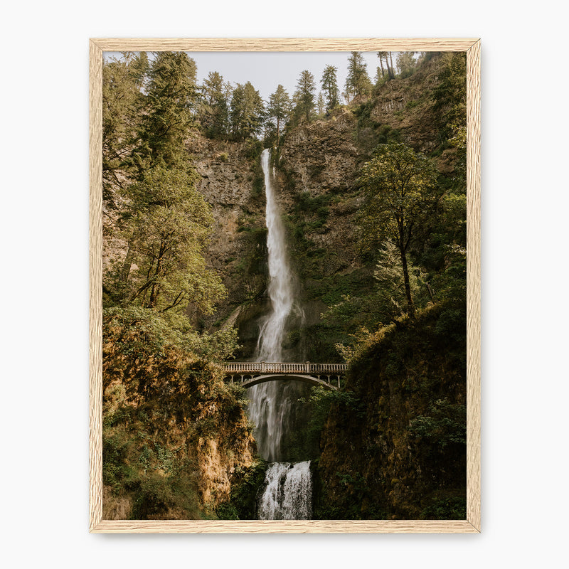 Multnomah Falls - Sage and Rose Prints
