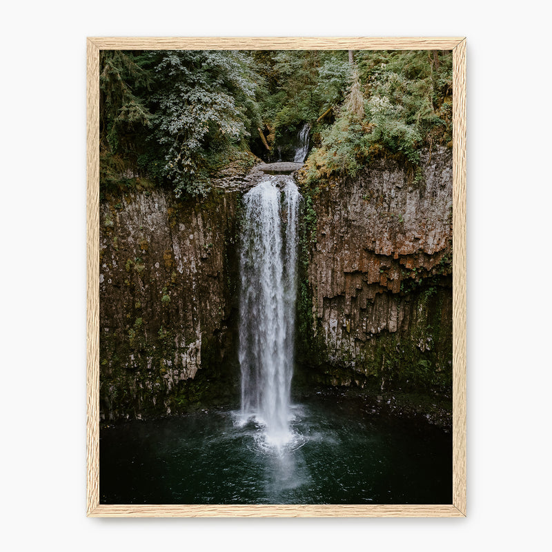Abiqua Falls - Sage and Rose Prints