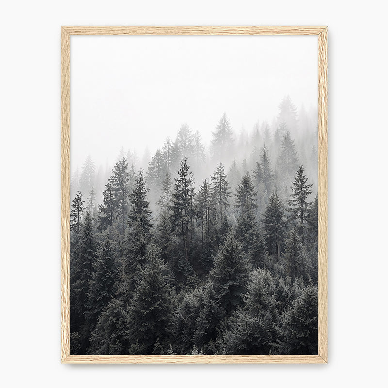 Misty Forest Ridge - Sage and Rose Prints