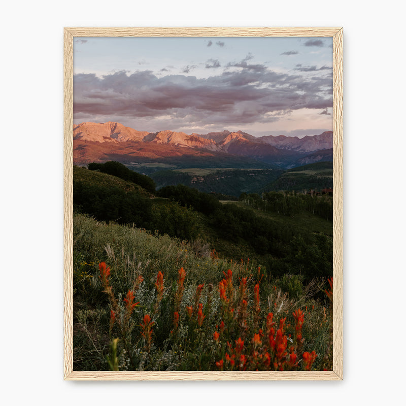 Telluride Mountain Sunset - Sage and Rose Prints