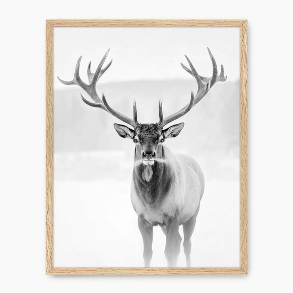 Deer in Winter Black and White Photo - Sage and Rose Prints