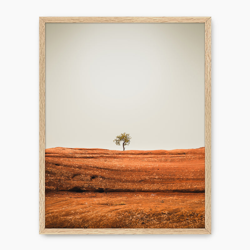Minimal Tree Photography - Sage and Rose Prints