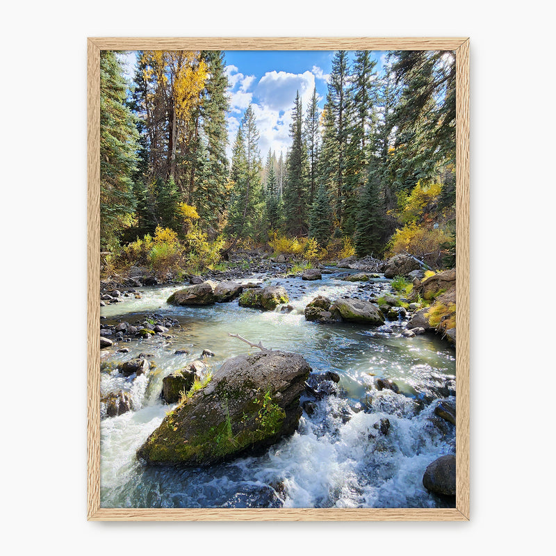 Creek in Fall Photography - Sage and Rose Prints