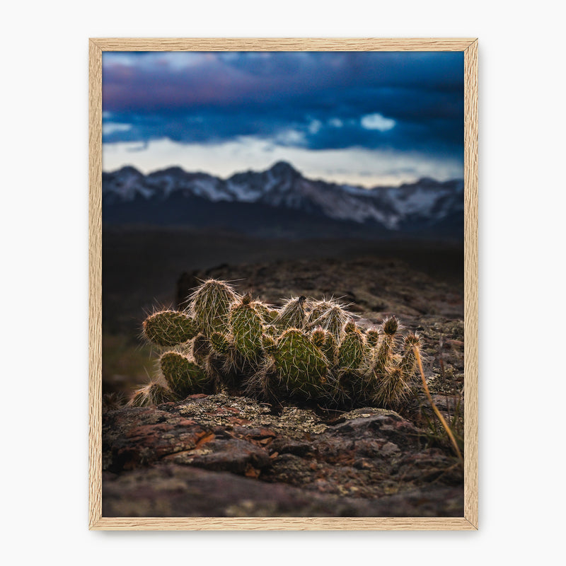 Desert Meets Mountain Photography - Sage and Rose Prints