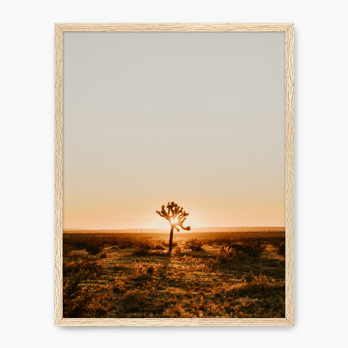 Desert Rising - Sage and Rose Prints