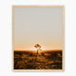 Desert Rising - Sage and Rose Prints