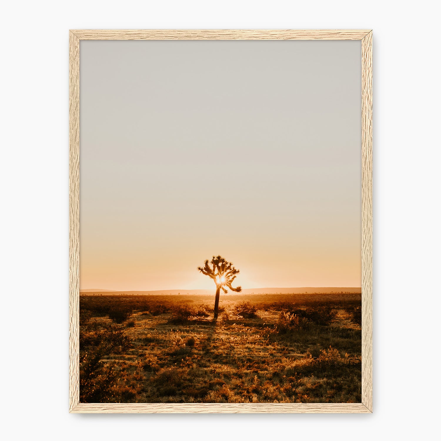 Desert Rising - Sage and Rose Prints