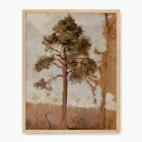 Tree in the Evening Sunlight - Sage and Rose Prints