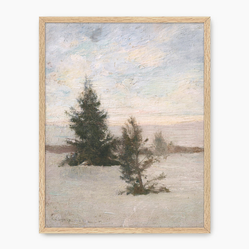 Winter 02V - Sage and Rose Prints