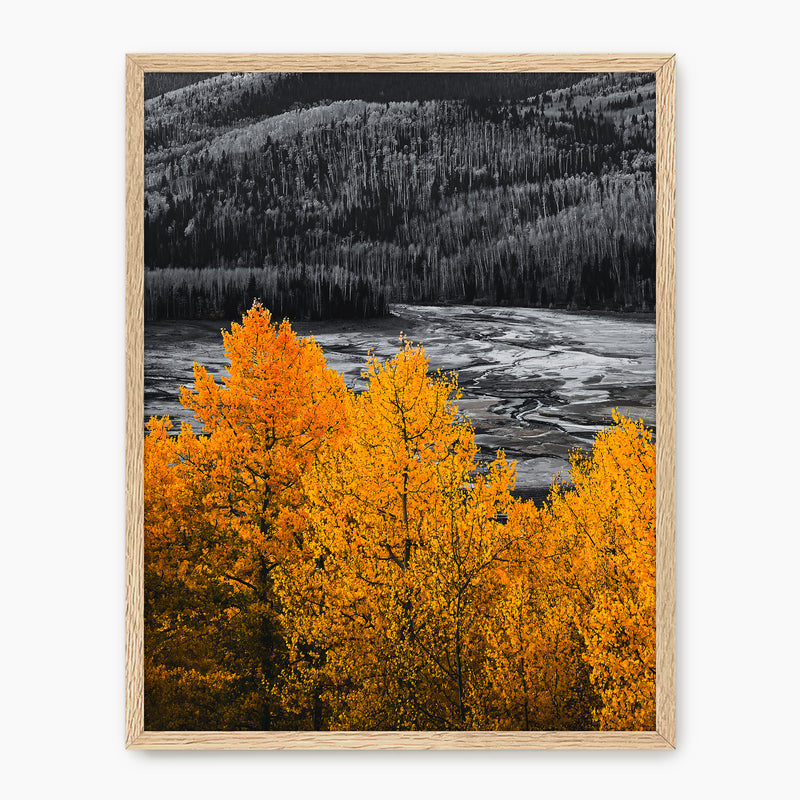 Fall Mountain Colors - Sage and Rose Prints